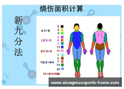 球员下体受伤：预防与康复的关键策略