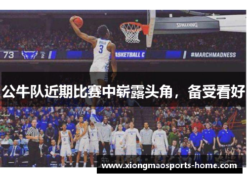 公牛队近期比赛中崭露头角，备受看好
